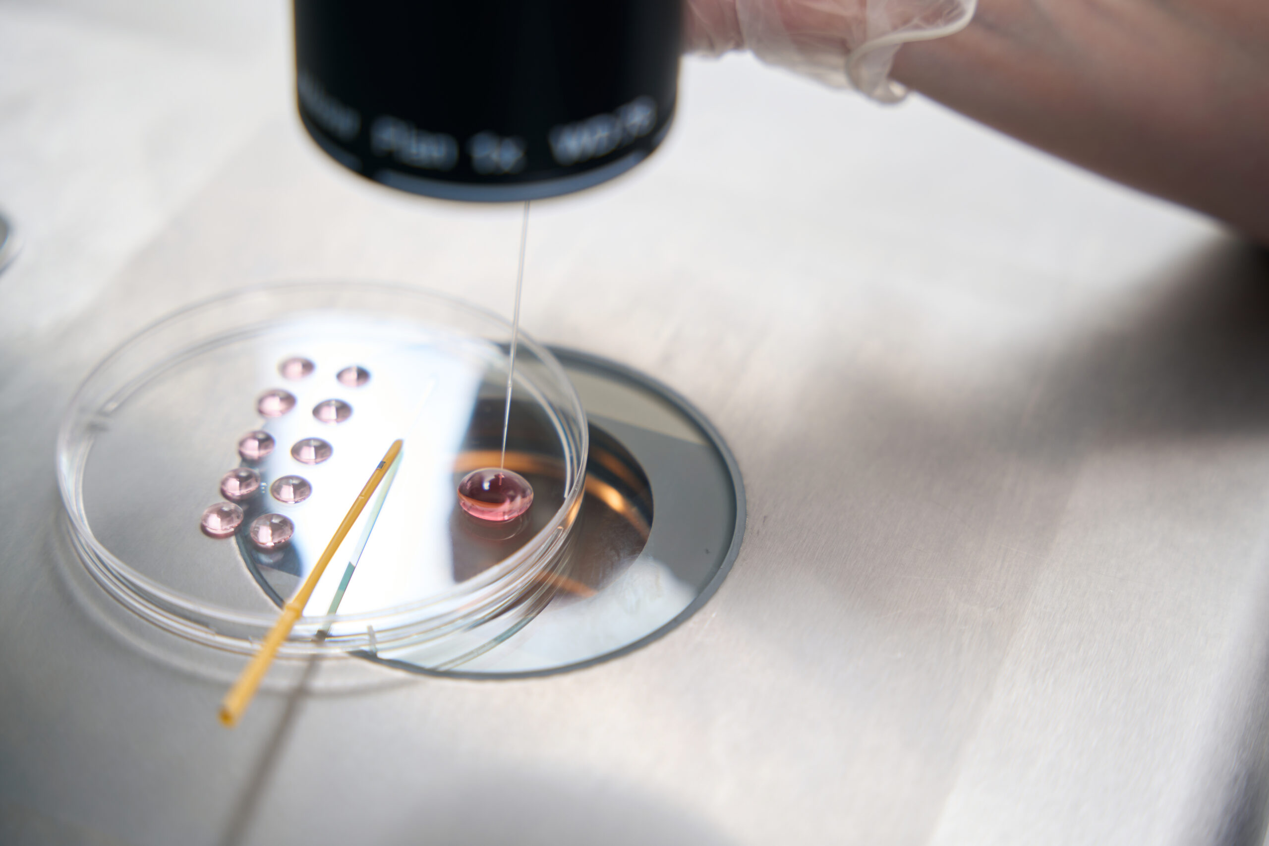 IVF