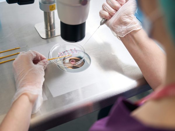 Scientist geneticist prepares biological material for vitrification, woman works in sterile conditions